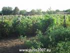 Едноетажна къща, 25 км от Каварна